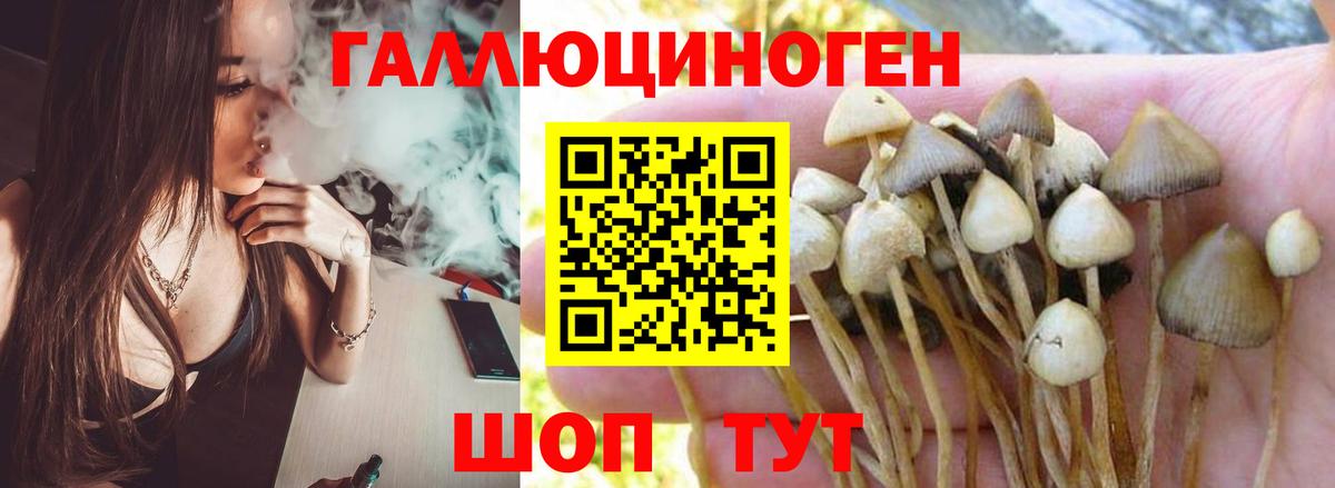 Псилоцибиновые грибы Psilocybe  Вход с VPN  Ростов-на-Дону 